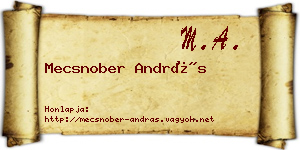 Mecsnober András névjegykártya