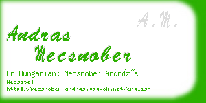 andras mecsnober business card